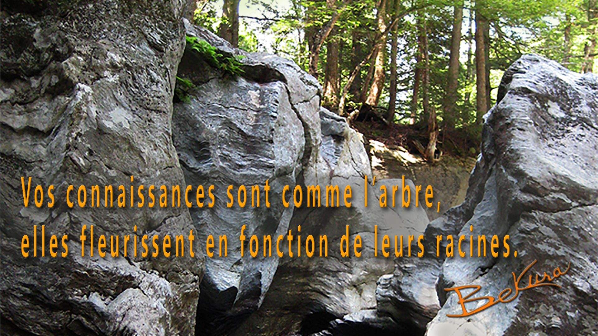 Poeme_11