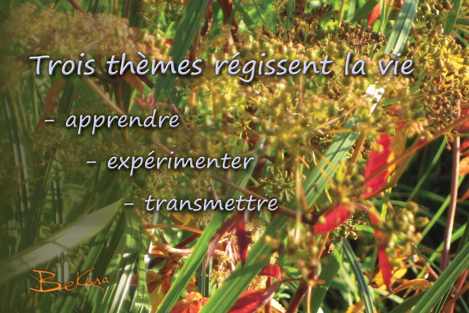 Poeme_3